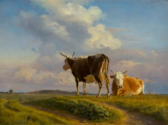 Deux vaches dans un champ ouvert